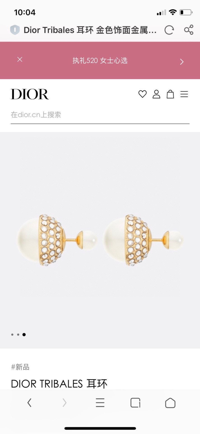 Christian Dior Earrings